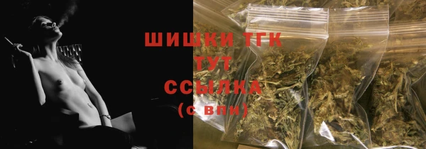 первитин Каменка