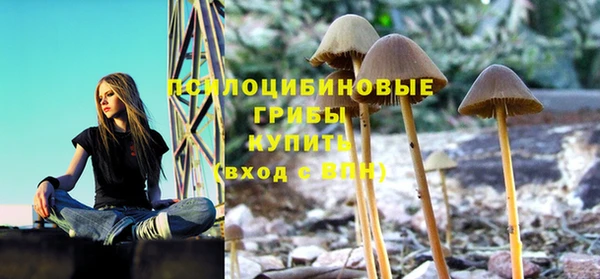 гашишное масло Каменск-Шахтинский